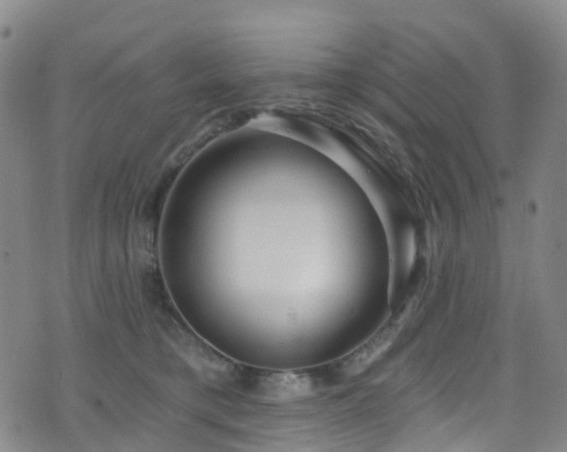 X0000075880421200609151321