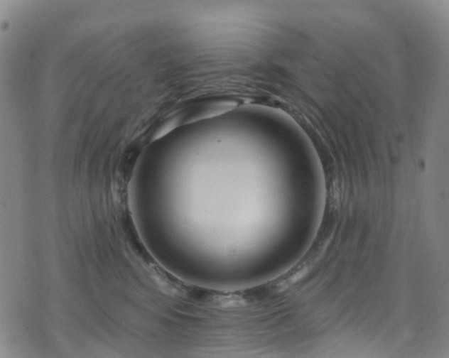 X0000075880424200609151321