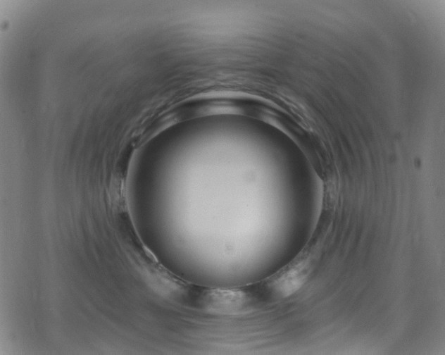 X0000075880429200609151321