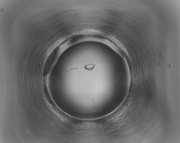 X0000075880437200609151320