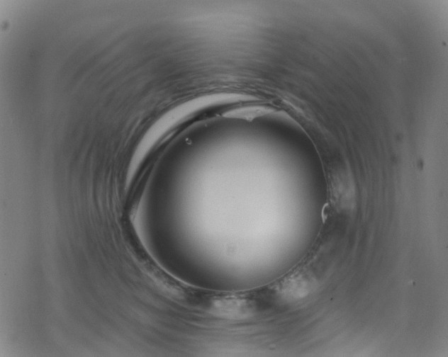 X0000075880470200609151321