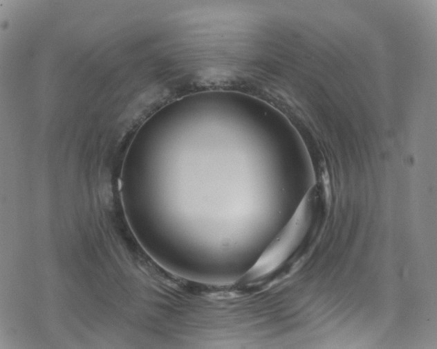 X0000075880508200609151320