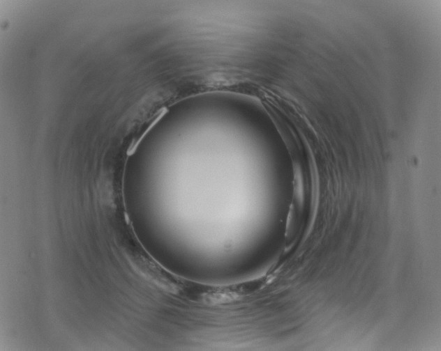 X0000075880512200609151320