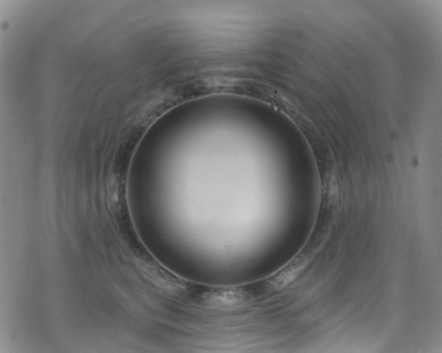 X0000075880567200609151319