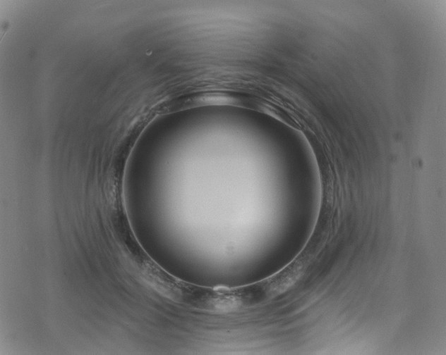 X0000075880604200609151318