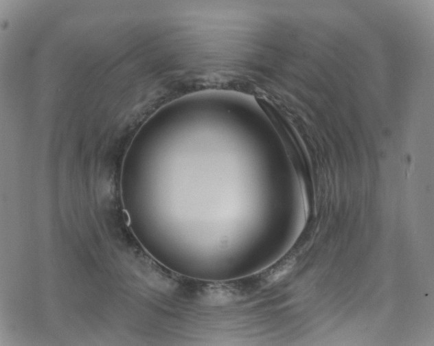 X0000075880608200609151318