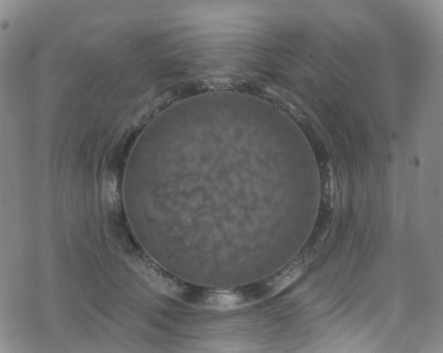 X0000075880610200609151318