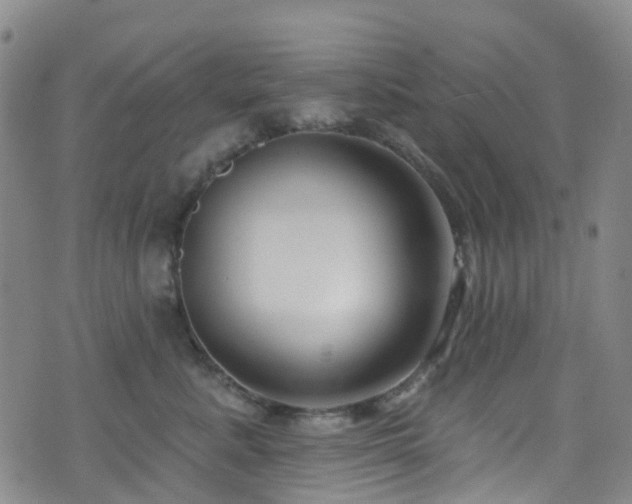 X0000075880619200609151318