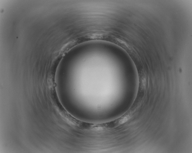 X0000075880620200609151318