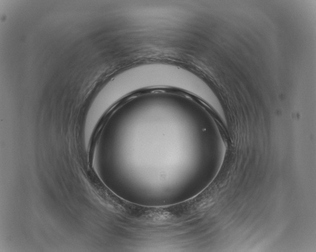 X0000075880642200609151317