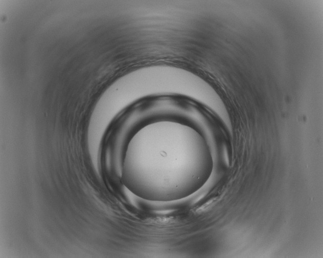 X0000075880647200609151317
