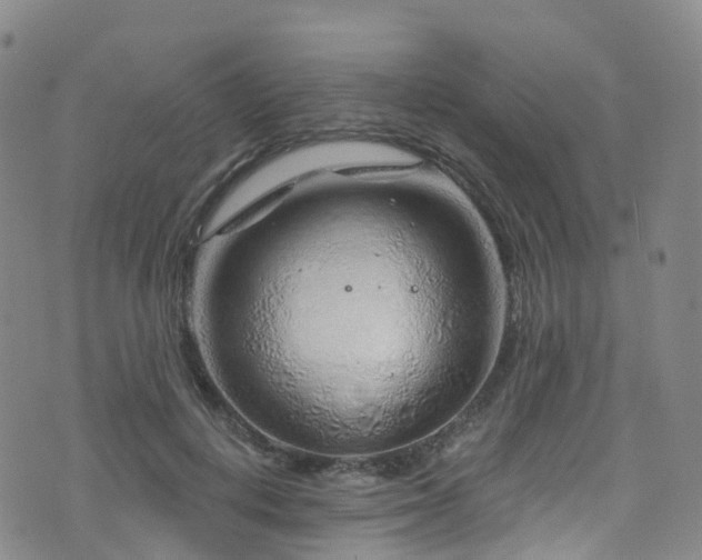 X0000075880648200609151317