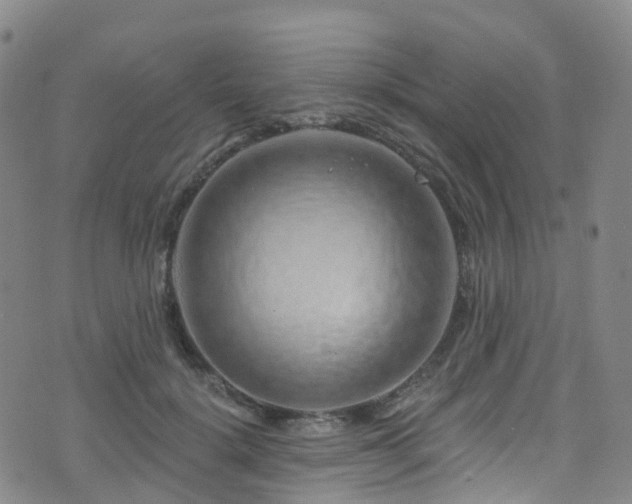 X0000075880652200609151317