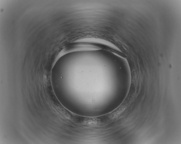 X0000075880655200609151317