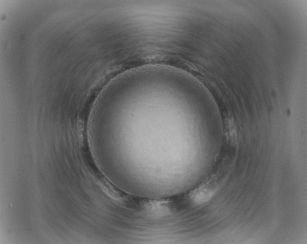 X0000075880664200609151317