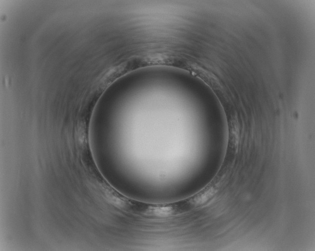 X0000075880665200609151317