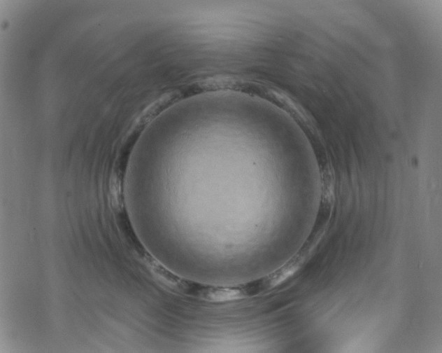 X0000075880669200609151318
