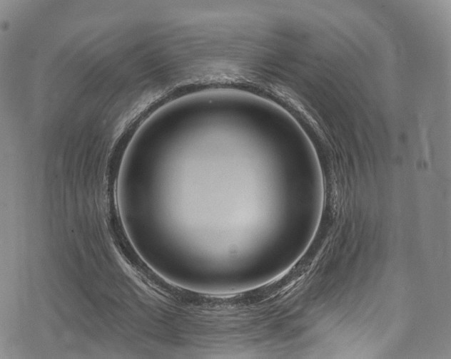 X0000075880677200609151317