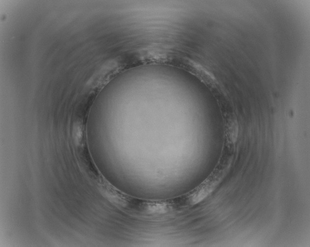 X0000075880709200609151316