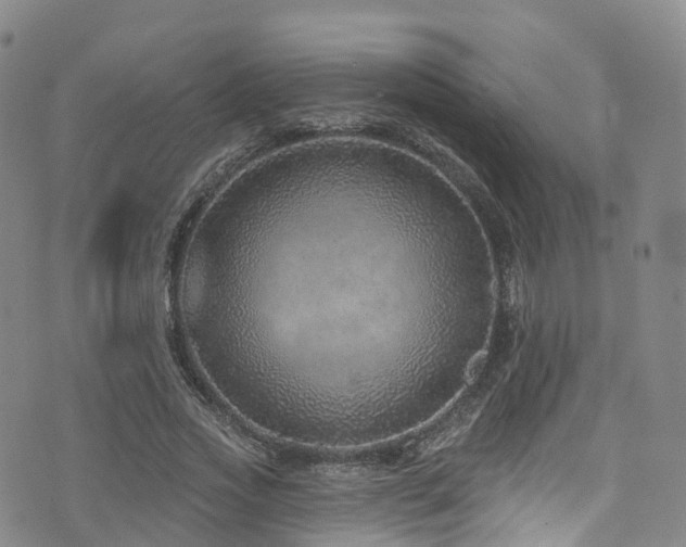X0000075880733200609151315