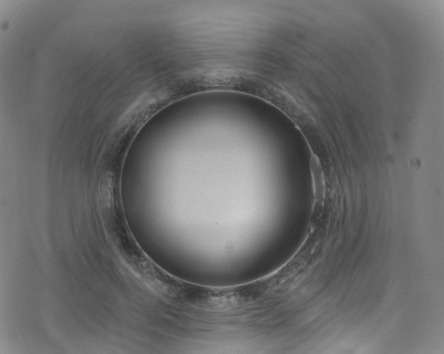 X0000075880744200609151316