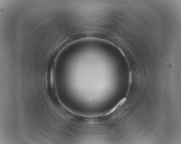X0000075880750200609151316