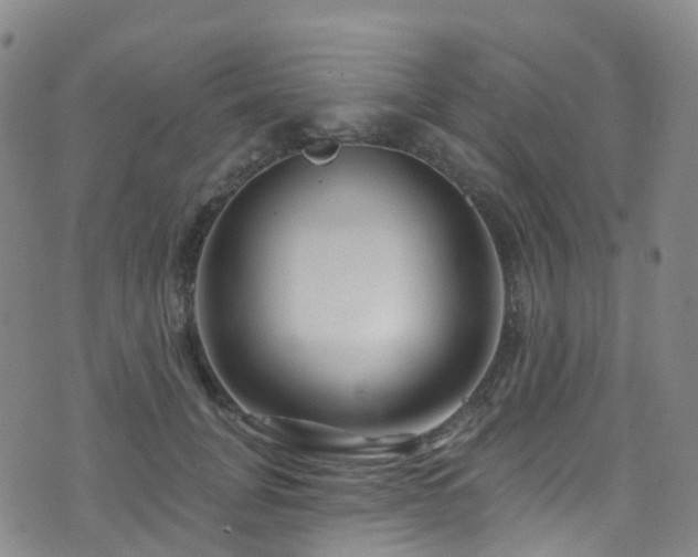 X0000075880751200609151316