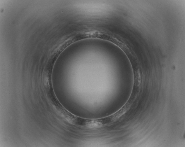 X0000075880754200609151316