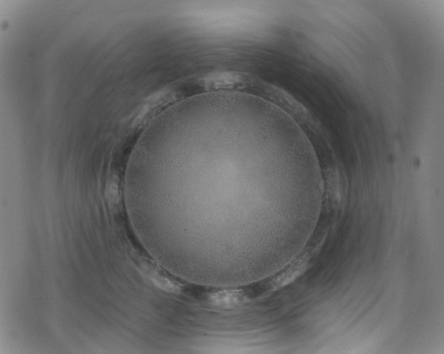 X0000075880761200609151316