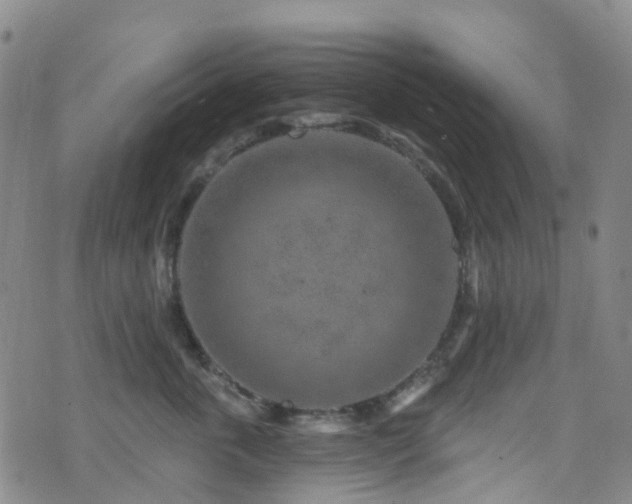 X0000075880763200609151316