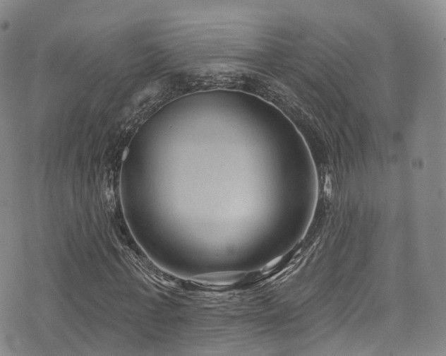 X0000075880771200609151315