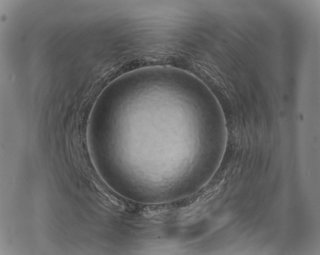 X0000075880817200609151314