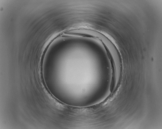 X0000075880949200609151313