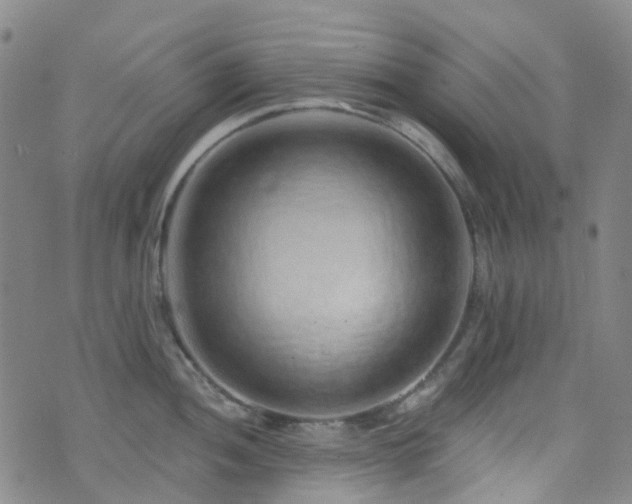 X0000075881052200609151311