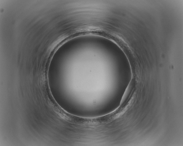 X0000075881073200609151310