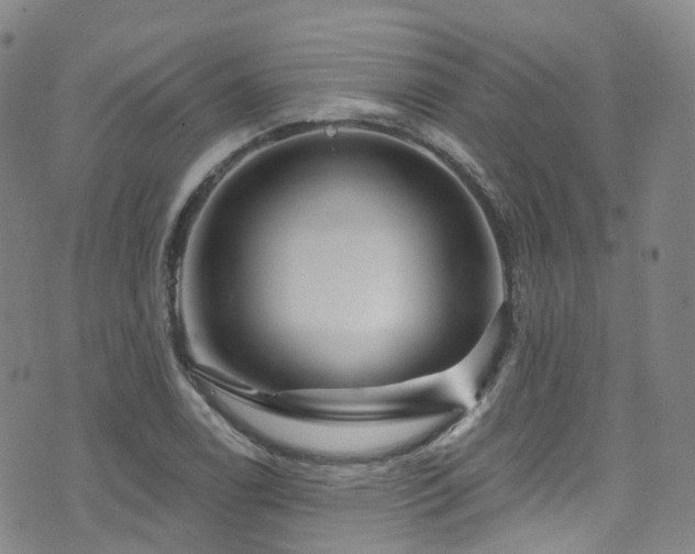 X0000075881122200609151309