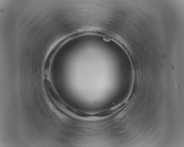 X0000075881124200609151309