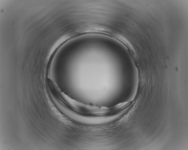 X0000075881138200609151310