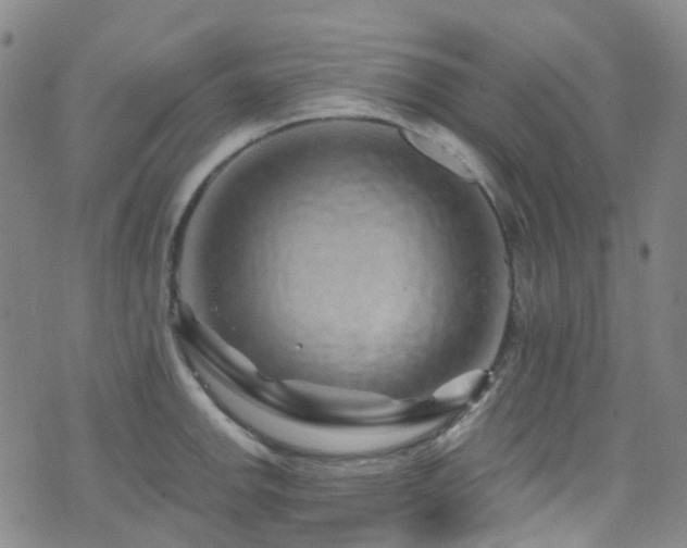 X0000075881142200609151310