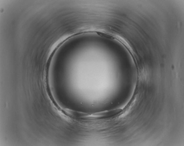 X0000075881149200609151310