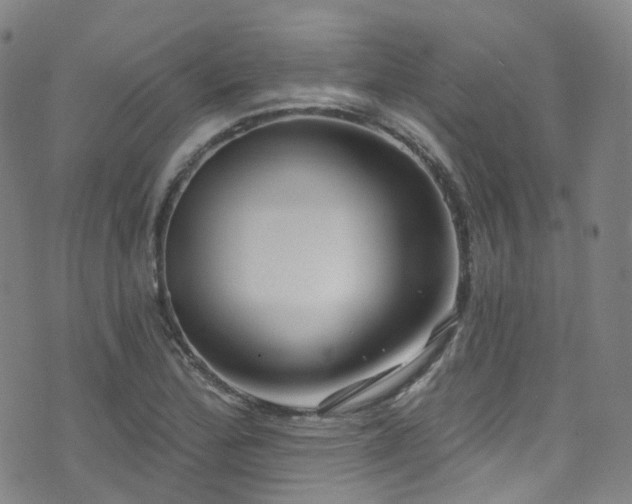 X0000075881172200609151309