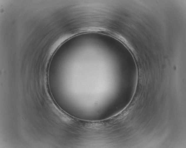 X0000075881187200609151308