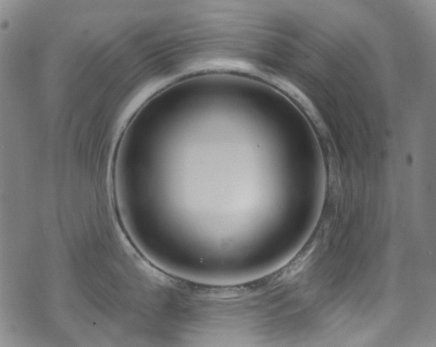 X0000075881199200609151308