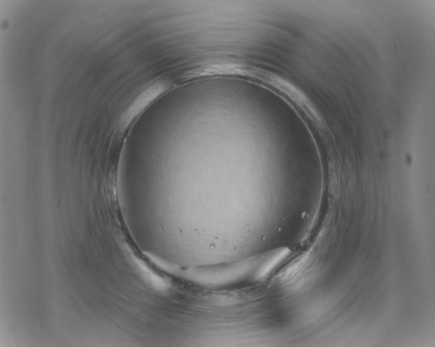 X0000075881241200609151308