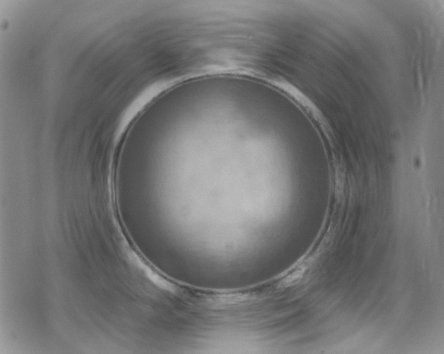 X0000075881294200609151307