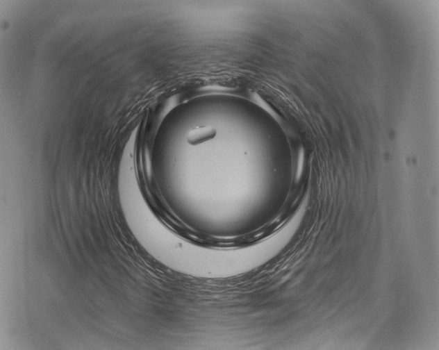 X0000075881298200609151306