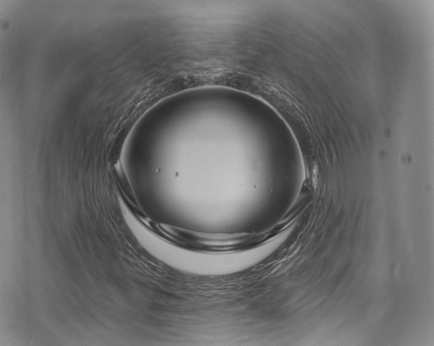X0000075881299200609151306
