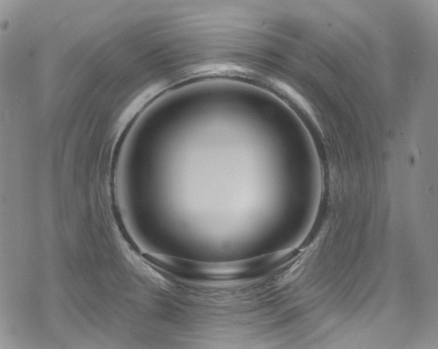 X0000075881330200609151306