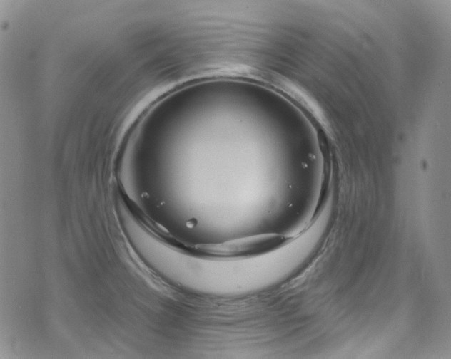 X0000075881332200609151306