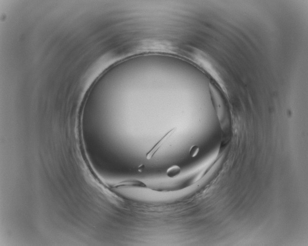 X0000075881339200609151306